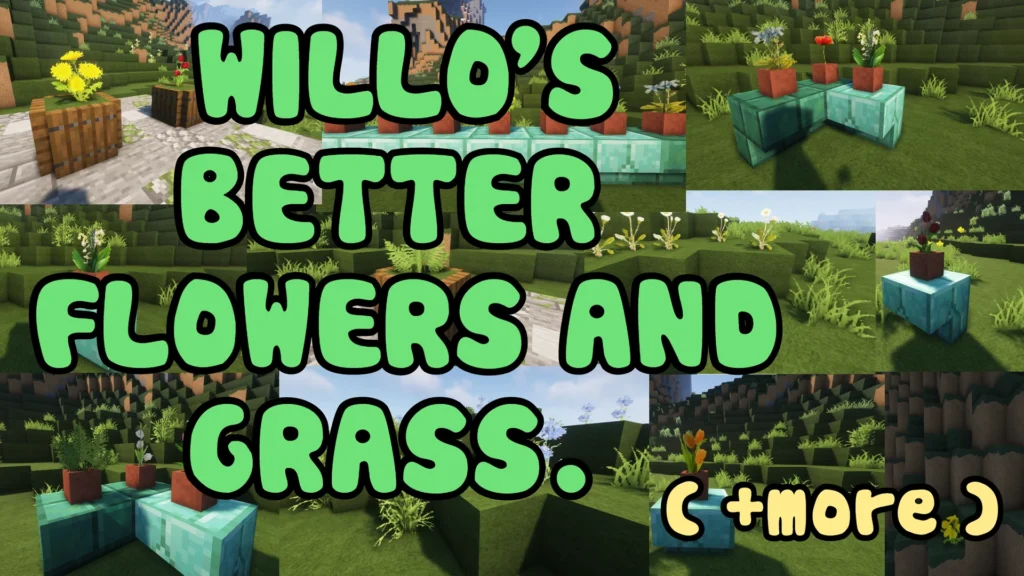 willo's flowers and grass